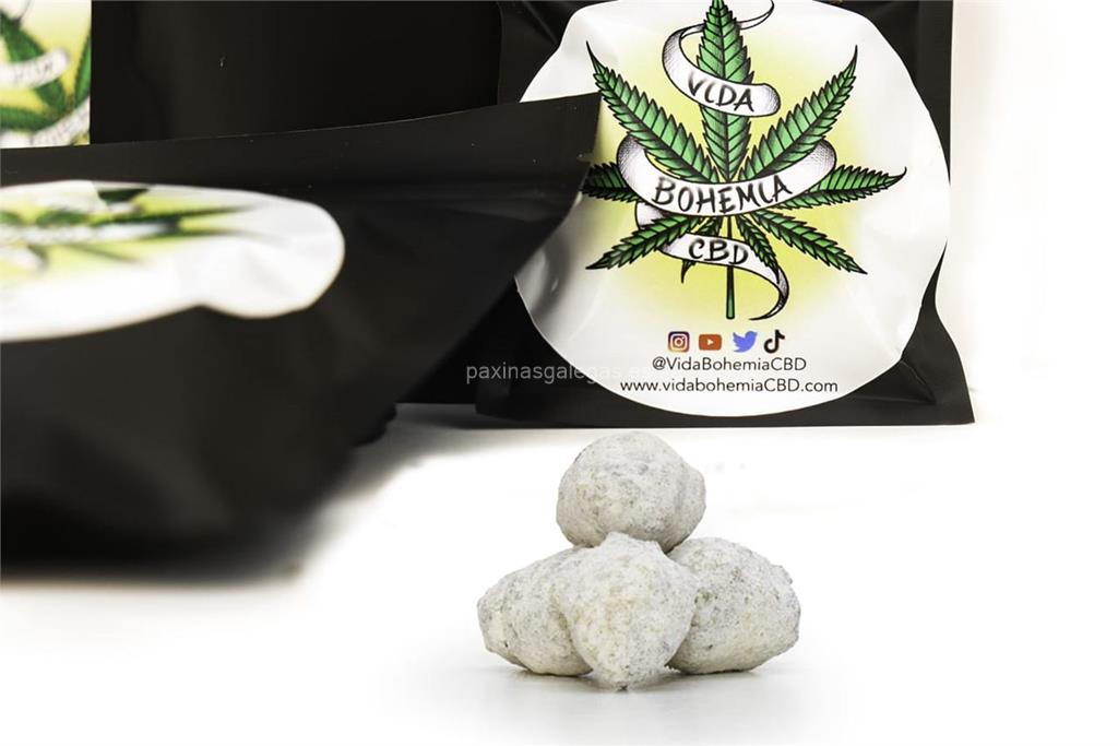 imagen principal Vida Bohemia