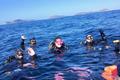 imagen principal Vigo Buceo
