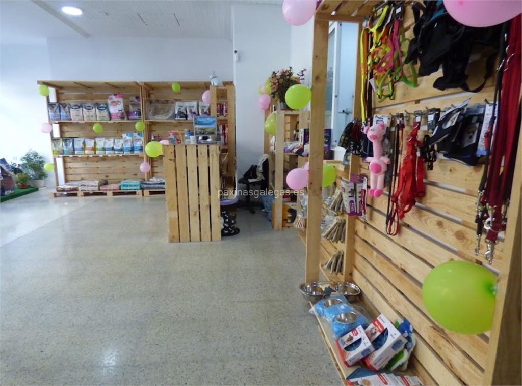 imagen principal Vigotudos