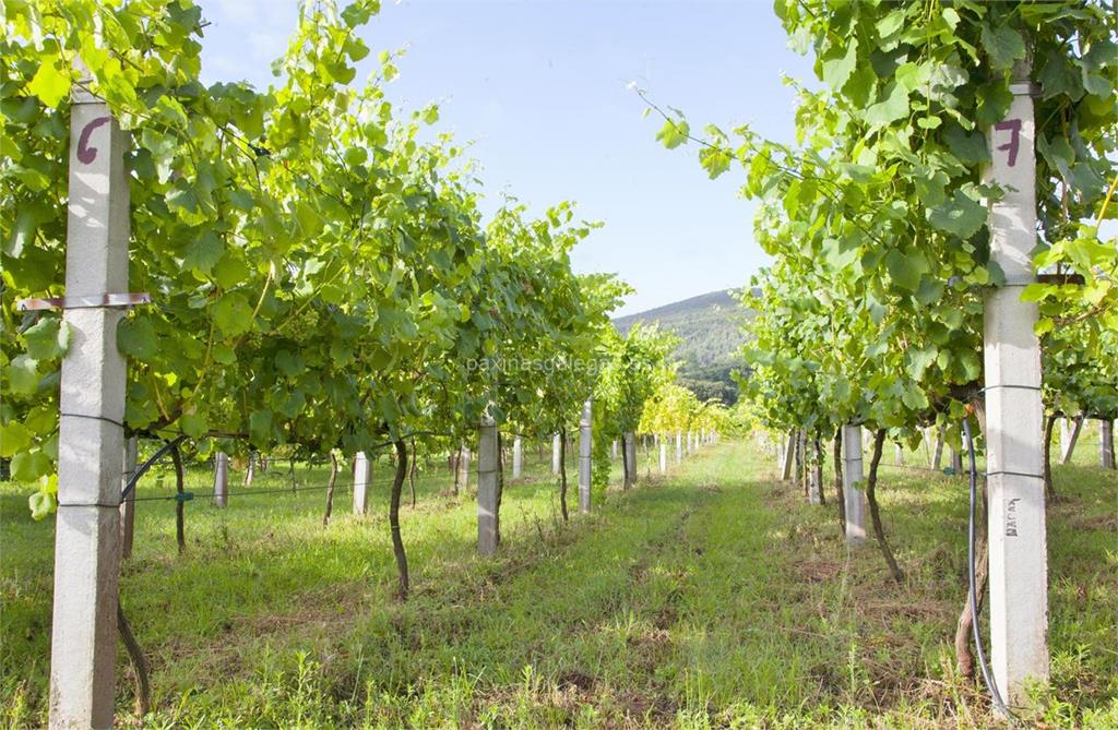 imagen principal Villa Marecaste (Albariño)