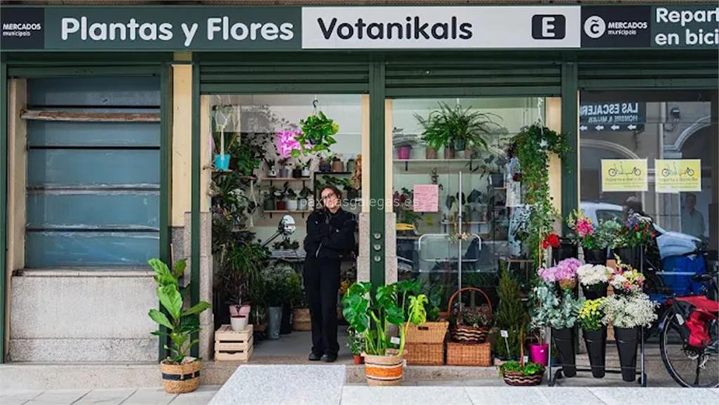 imagen principal Votanikals