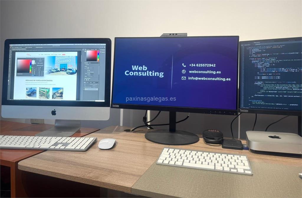 imagen principal Web Consulting