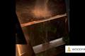 video corporativo Woodfire
