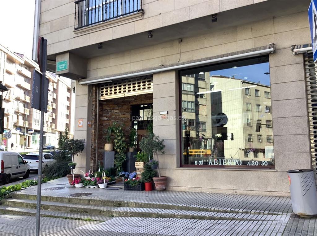 imagen principal Xardín a Alameda - Teleflora