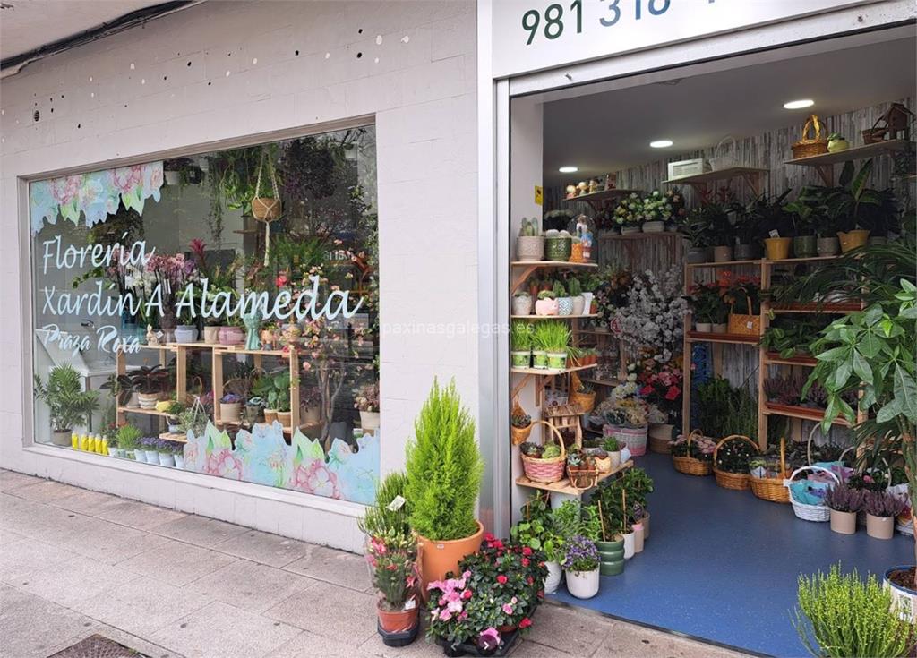 imagen principal Xardín A Alameda