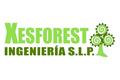 logotipo Xesforest Ingeniería S.L.P
