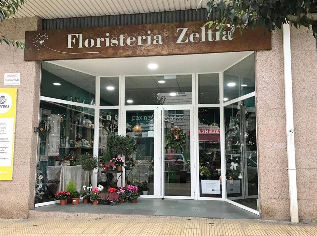 Floristería Zeltia Floristería Zeltia